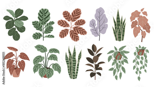 A stylish collection of popular indoor houseplants, including fiddle leaf fig, snake plant, and monstera. This modern botanical set is perfect for illustrating home and office interiors.