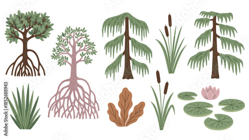 A wonderful collection of swamp and marsh plants, including mangrove trees, cypress, cattails, and water lilies. This wetland nature set is perfect for illustrating unique ecosystems.
