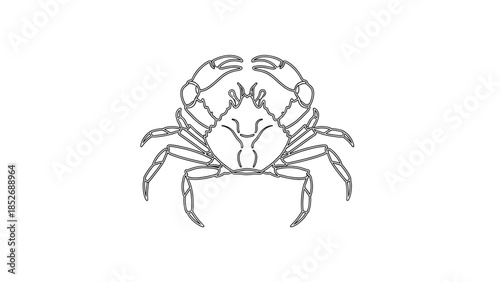 Detailed Line Art Illustration of a Crab Facing Forward.