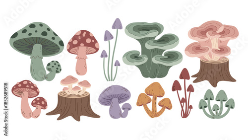A diverse collection of colorful forest mushrooms, including amanita, chanterelle, and other fantasy fungi types. This autumn nature set is perfect for woodland and fairy tale designs.