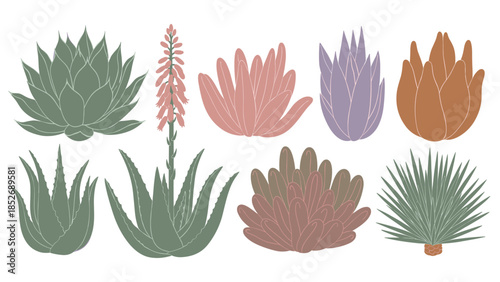 A beautiful collection of various succulent plants, including aloe vera and agave, known for their unique shapes. This botanical set is perfect for illustrating houseplant and desert themes.