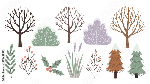 A diverse set of winter and late autumn plants, including bare trees, evergreen firs, holly, and frosted bushes. This botanical collection is perfect for seasonal and holiday designs.