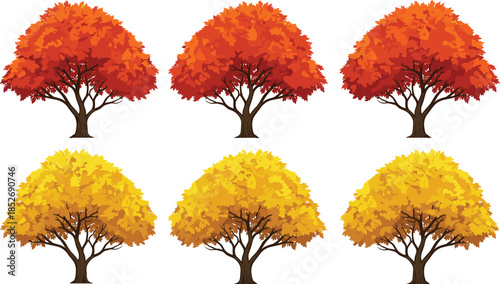 Autumn trees vector set featuring orange and yellow foliage isolated on white background for seasonal nature design illustration collection