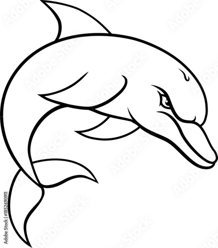 Dolphin animal mean tough s...