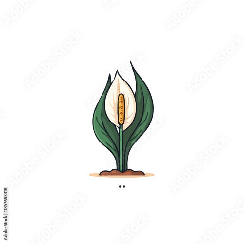 Stylized peace lily illustration showcasing simplicity elegance nature in a contemporary artistic