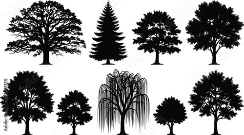Set of black tree silhouettes featuring deciduous and evergreen shapes isolated on white background for nature landscape design use