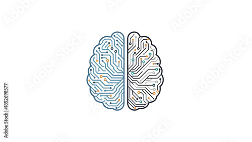 Human Brain Illustration with Detailed Structure.