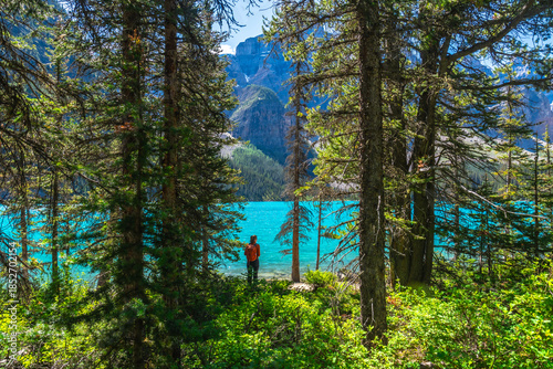 Картината върху платно Tourist admiring moraine lake through the trees in banff national park