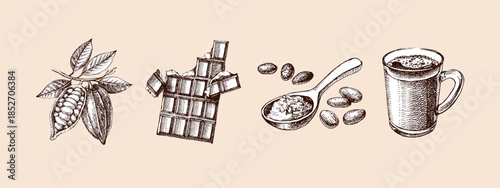 Hand drawn sketch cocoa chocolate product set. Vintage vector illustration of natural healthy food. Packaging design of cacao powder