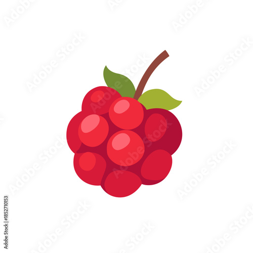Red raspberry with leaf, fruit icon, isolated flat style vector illustration