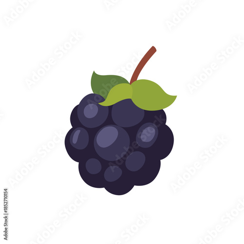 Black blackberry with leaf, fruit icon, isolated flat style vector illustration