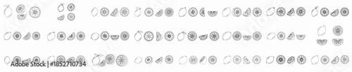 Monochrome line art vector illustration border featuring repeating whole lemons and assorted citrus slices, isolated on white background for graphic design.