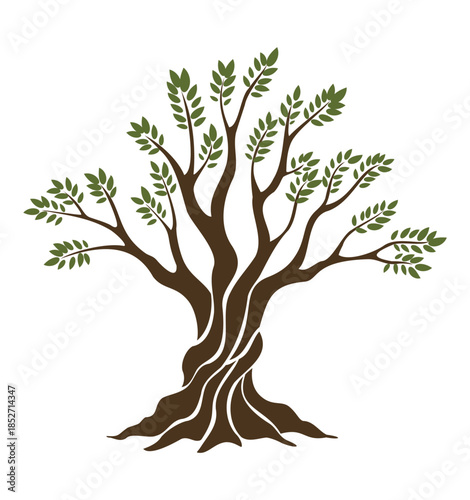 Olive trees with branches and leaves for design of packaging, label, logotype or banner. Natural organic stylized olive icon, premium quality sign. Vector illustration