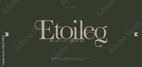 Beauty luxury elegant font alphabet logo. Typography beautiful fashion modern classic letters serif italic fonts decorative wedding vintage flower logos. vector illustration