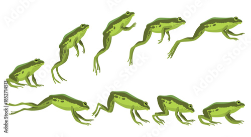Frog jumping animation icon set. Sequences or footage for motion design. Cartoon toad jumping, animal movement concept. Animated process of frogs leaps sequence, vector illustration