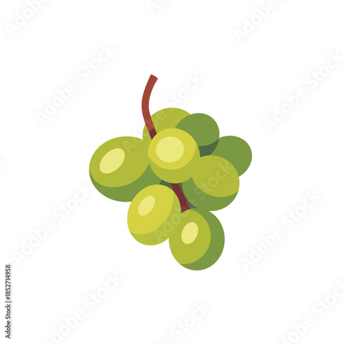 Green grape bunch with stem, fruit icon, isolated flat style vector illustration