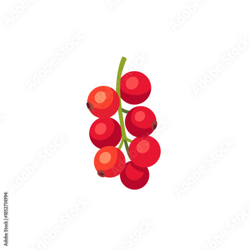 Red currant cluster with stem, fruit icon, isolated flat style vector illustration