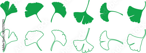 Green ginkgo biloba leaf icons set in flat and outline styles. Vectors graphic illustration depicting nature herbal medicine health Wellness botanical foliage elements collection minimalist designs.