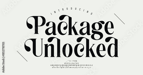 Elegant alphabet letters font. Classic Modern Serif Lettering Minimal Fashion Designs. Typography  decoration fonts for branding, wedding, logos. vector illustration