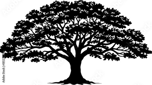 Black tree silhouette on white background, nature and simplicity combined