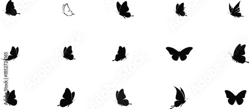 Butterfly silhouettes in various flight positions