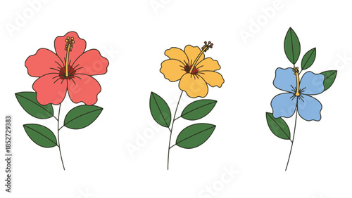 Three colorful hibiscus flowers with green leaves on white background.