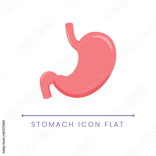 Human Stomach Organ Flat Illustration