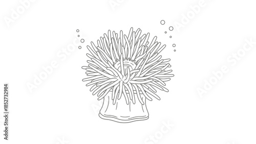 Detailed Line Drawing of a Sea Anemone Underwater.