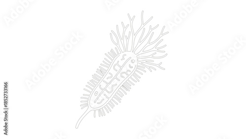 Detailed Line Art Illustration of a Single Pine Cone.