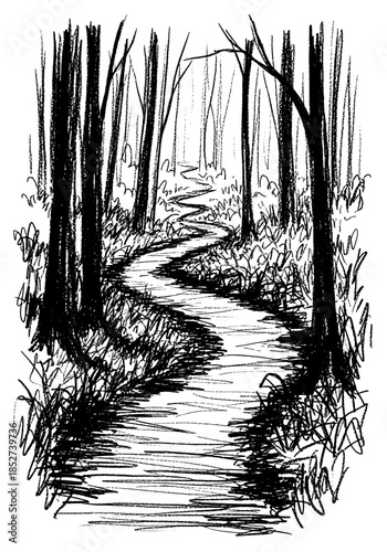 Hand Drawn Sketch of a Winding Path Through the Forest