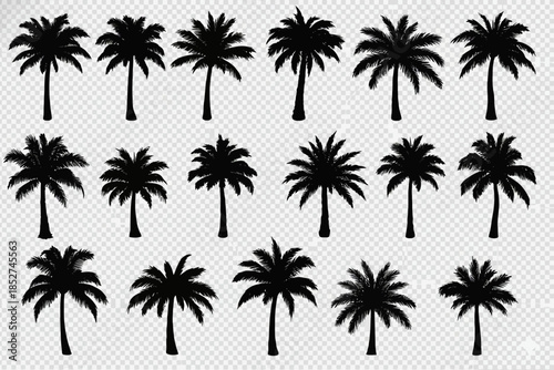 Silhouetted Palm Trees, Nature Scene, Graphic Design, Tropical Environment, Sunset Viewpoint, Artistic Concept