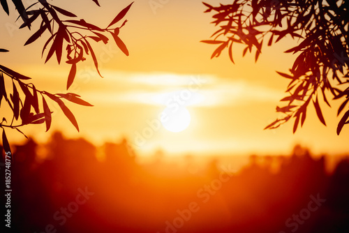 Tableau sur toile blurred sun is rising in costa del sol spain