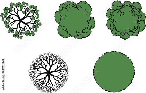 Top view green tree canopies and bare branch crowns flat vector set for landscape design park planning nature illustration elements