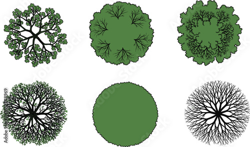 Top view green tree canopies with leafy and bare crowns flat vector set for landscape design planning park nature illustration