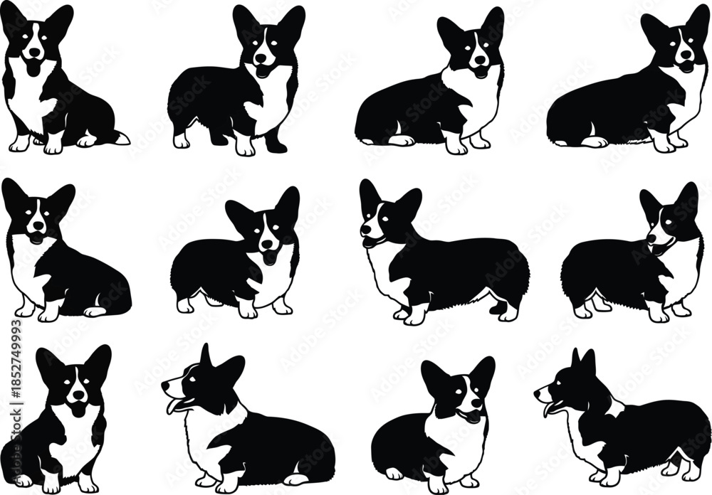 Obraz premium Black and white illustrations of multiple corgi dogs in different sitting positions and poses