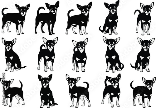 Collection of various chihuahua dog poses and expressions in black silhouette on white background