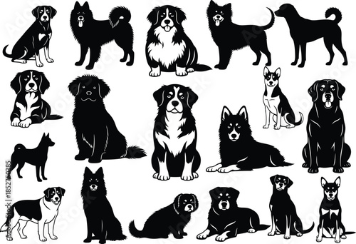 Collection of various dog breeds sitting and standing in different poses