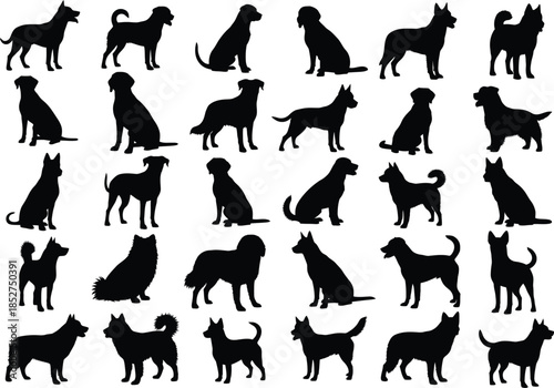 Collection of various dog breeds in silhouette profiles and poses