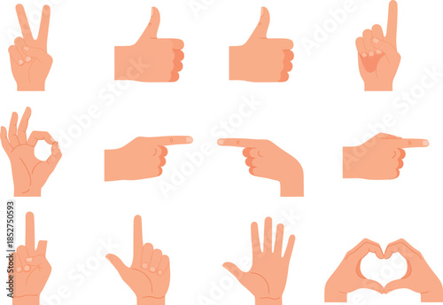 Various hand gestures and signs on white background for communication and expression