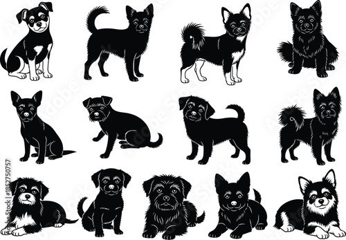 Collection of various dog breeds in different poses and sitting positions