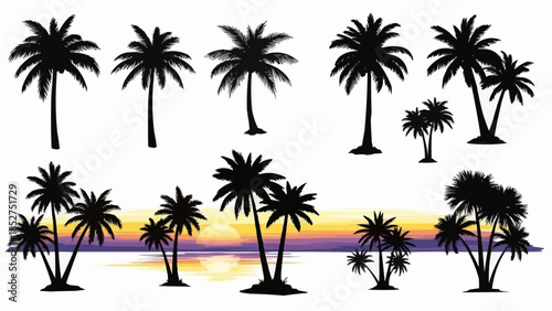 palm trees silhouettes