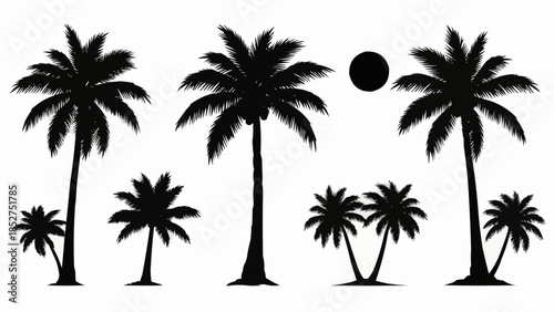palm trees silhouettes