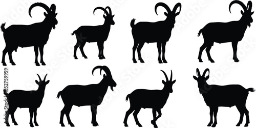 Set of mountain goat silhouettes, wild ibex with curved horns standing in profile, alpine animals collection, black vector illustration isolated on white background