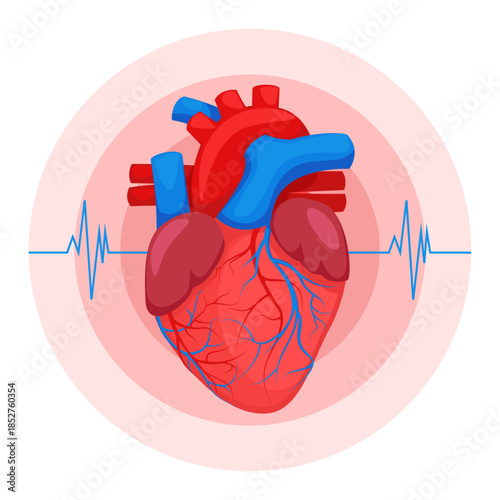 Heart attack, cardiac muscle failure. Cardio hurt, chest pain. Heartache, cardiovascular system disease.
