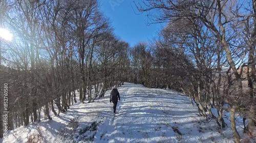 Monte Lema, Varese, Italy: She hikes in the winter wood on the snow under blue sky