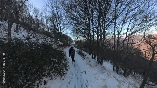 Monte Lema, Varese, Italy: a woman hiker walks in the shadow of the mountain in the winter wood