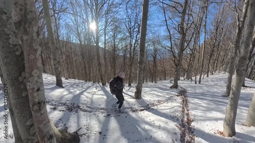 Monte Lema, Varese, Italy: A hiker woman black dressed walks in the winter wood on the snow