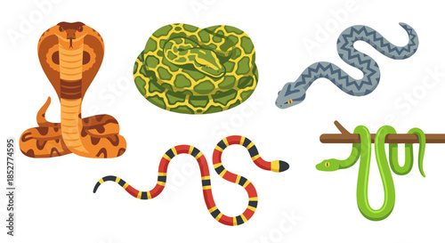 Diverse cartoon illustration set featuring various snake species like a majestic cobra, coiled python, colorful coral snake, and green tree snake, ideal for educational content or playful designs