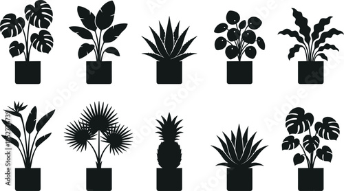 Indoor potted houseplants silhouette collection vector illustration, modern botanical decor set with tropical and decorative plants, isolated black icons