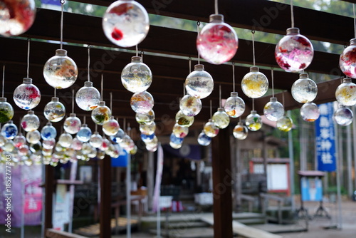 宮崎県小林市の霧島岑神社のハーバリウム
